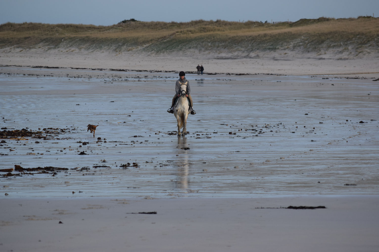 ballade-sur-la-plage-des-trois-moutons1