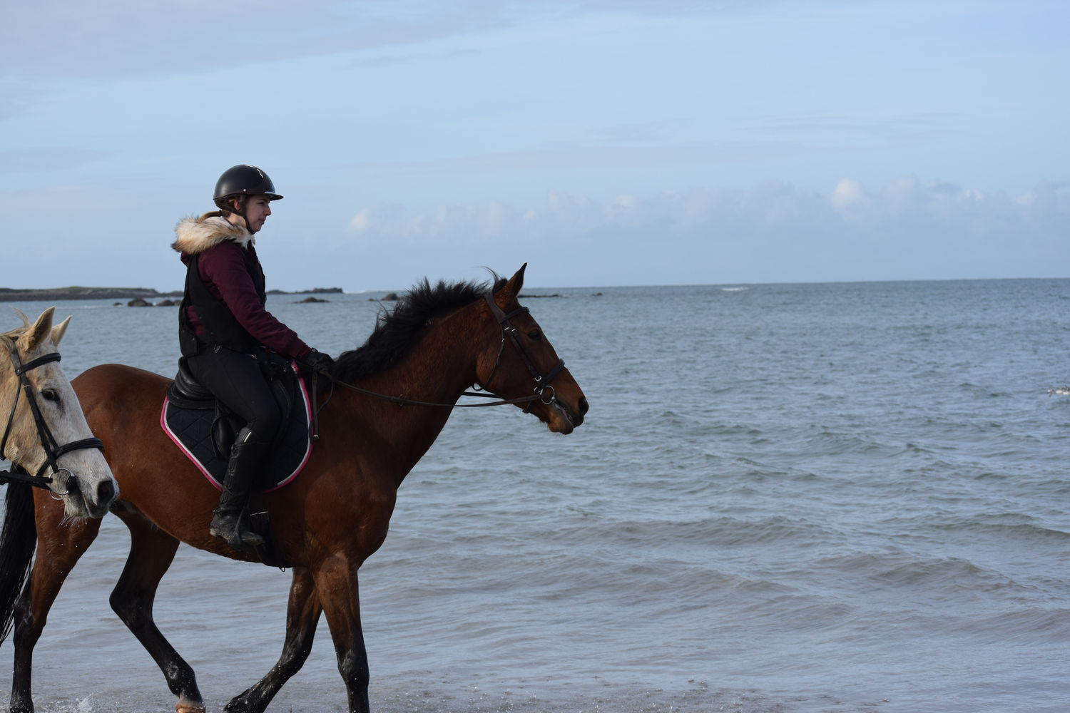 ballade-sur-la-plage-des-trois-moutons100