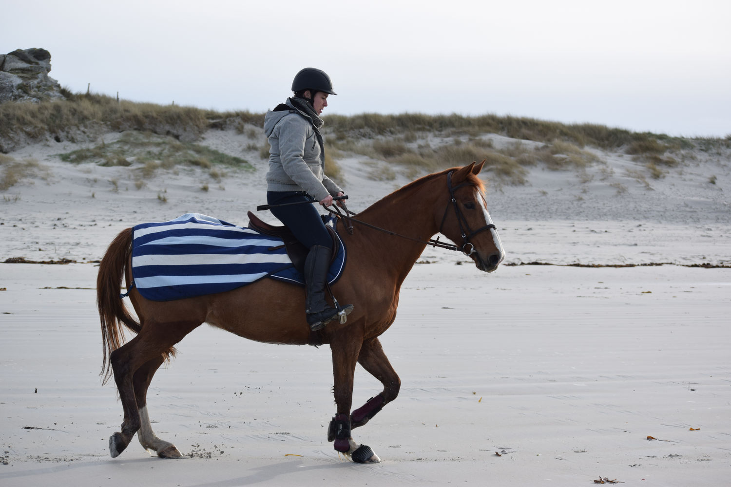 ballade-sur-la-plage-des-trois-moutons105