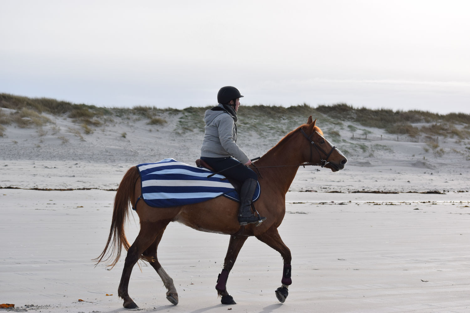 ballade-sur-la-plage-des-trois-moutons107