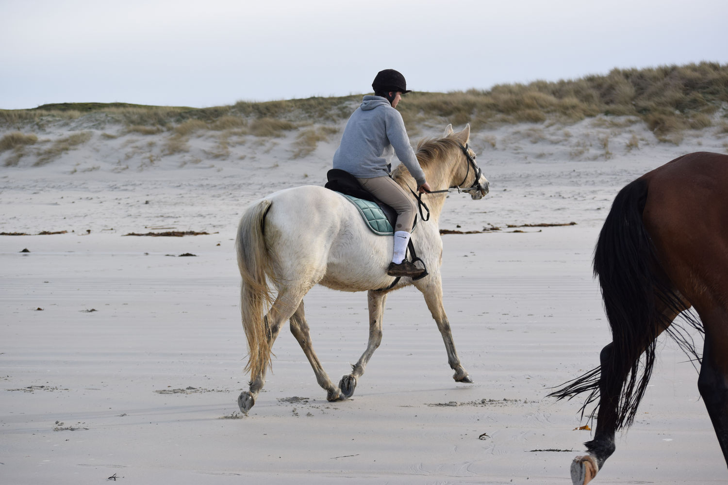 ballade-sur-la-plage-des-trois-moutons109