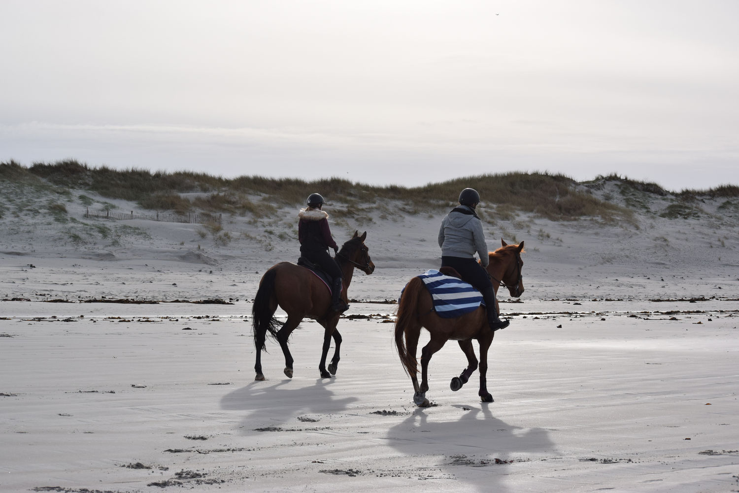 ballade-sur-la-plage-des-trois-moutons112