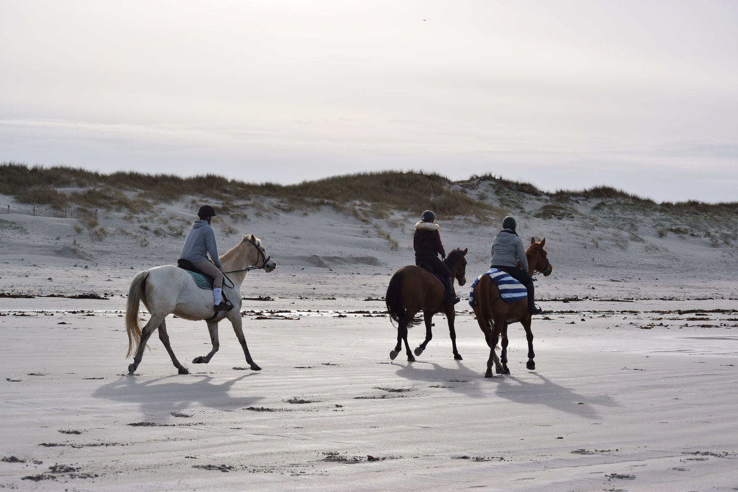 ballade-sur-la-plage-des-trois-moutons113