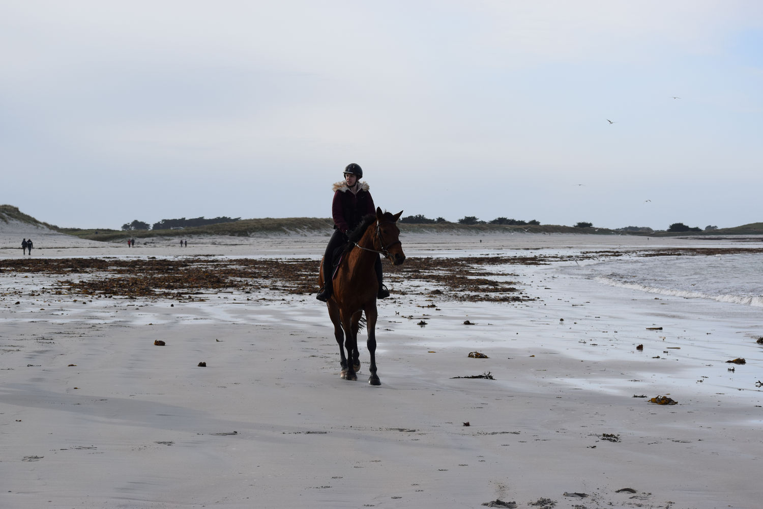 ballade-sur-la-plage-des-trois-moutons115