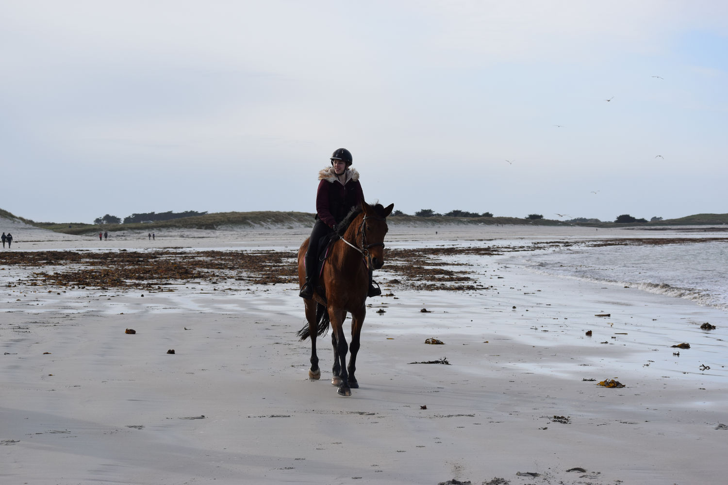 ballade-sur-la-plage-des-trois-moutons116