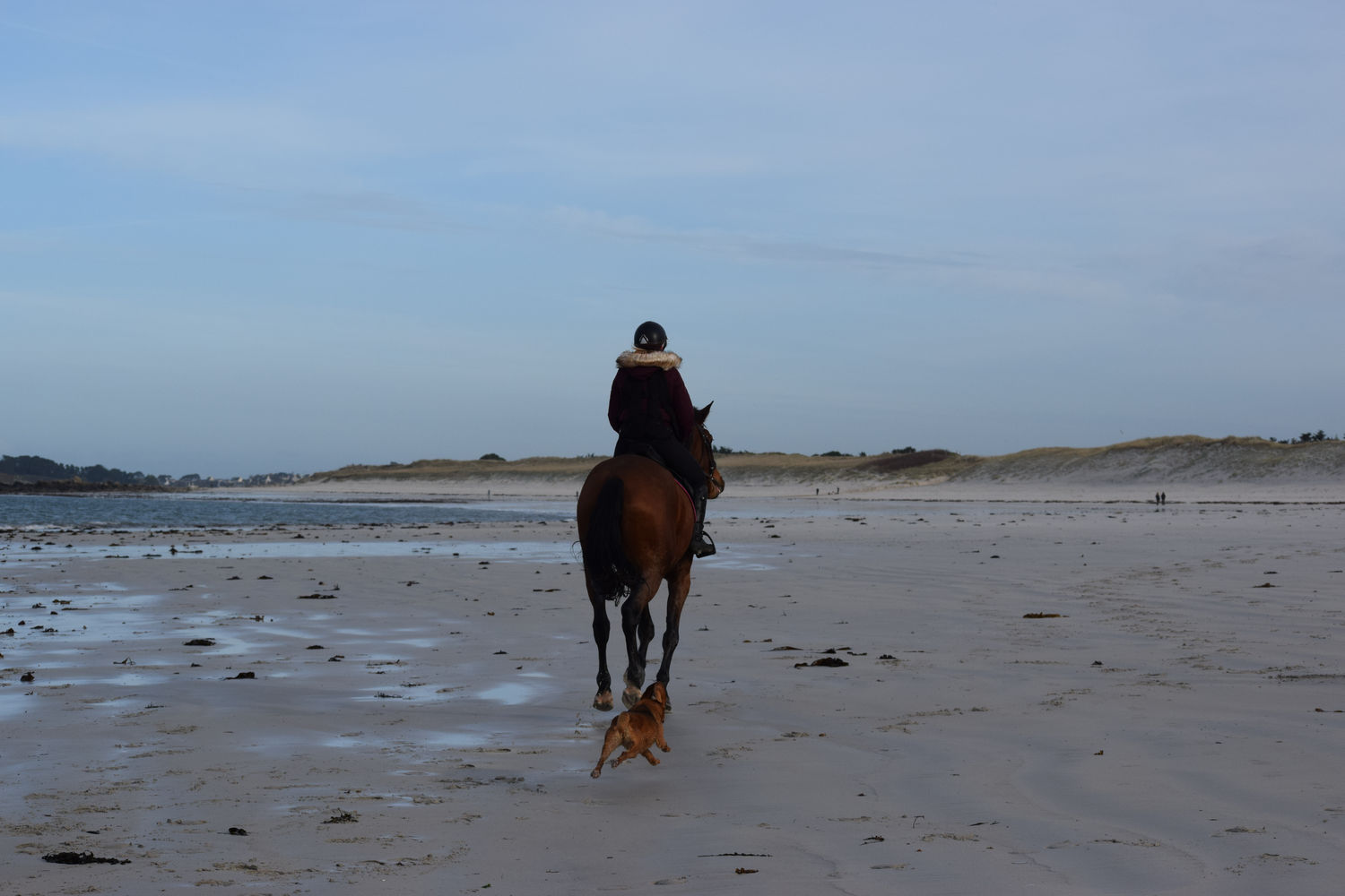 ballade-sur-la-plage-des-trois-moutons118