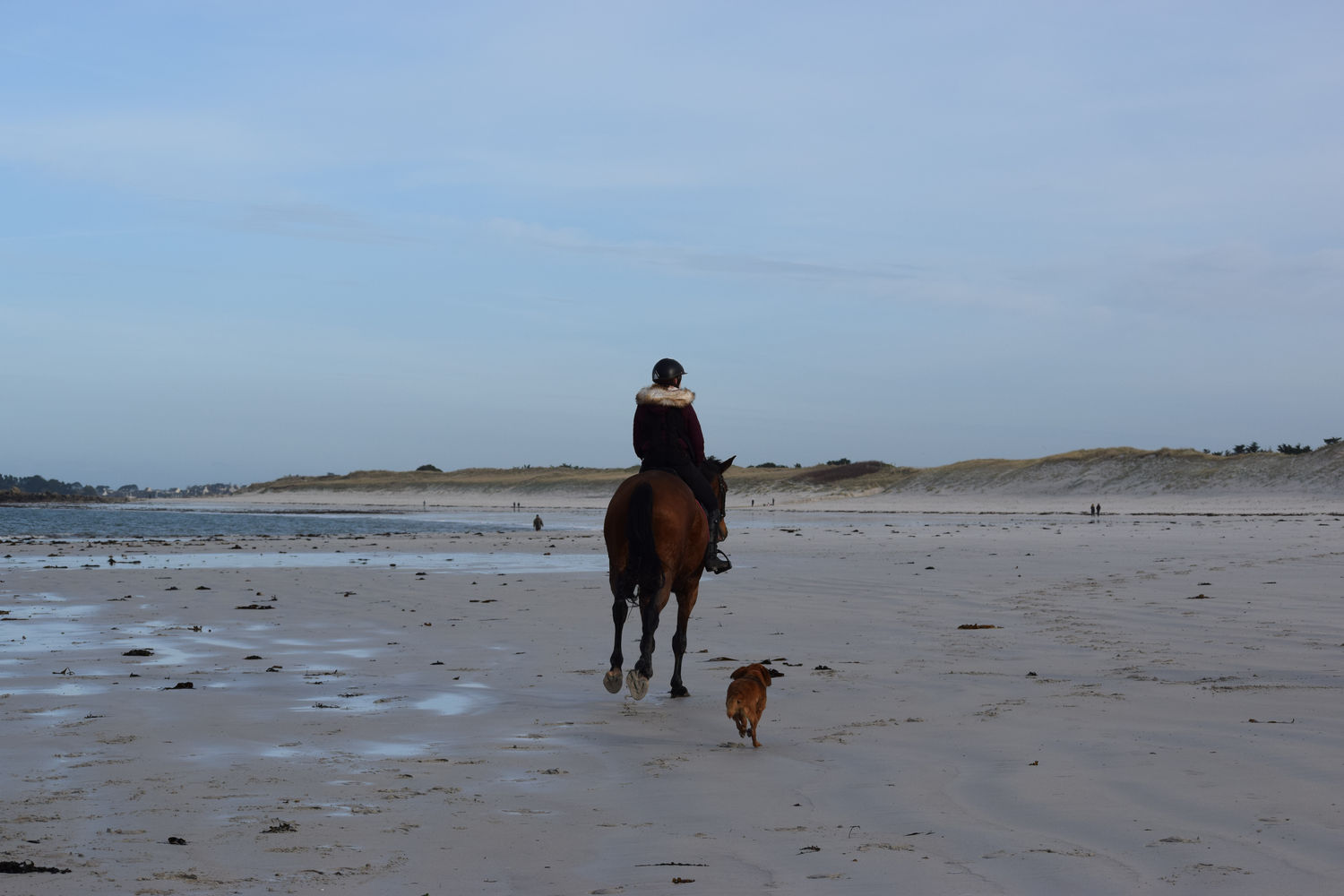 ballade-sur-la-plage-des-trois-moutons119