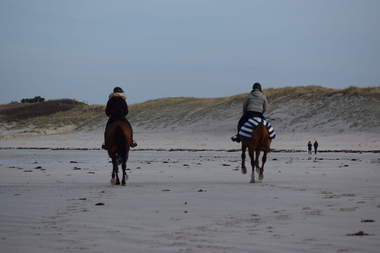 ballade-sur-la-plage-des-trois-moutons129