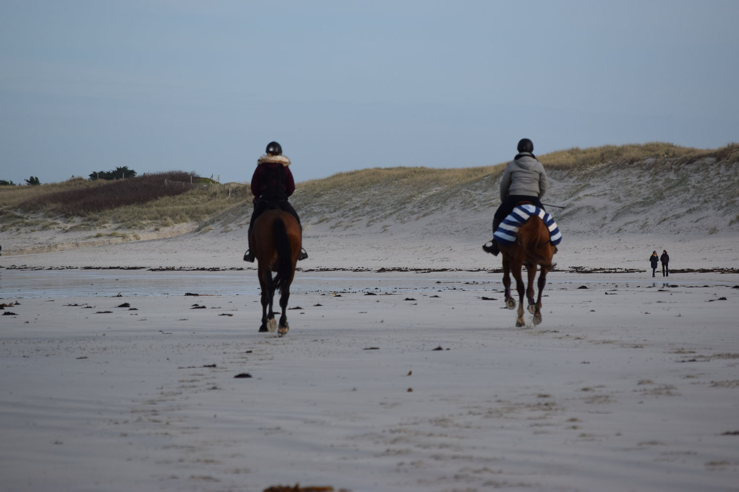 ballade-sur-la-plage-des-trois-moutons130