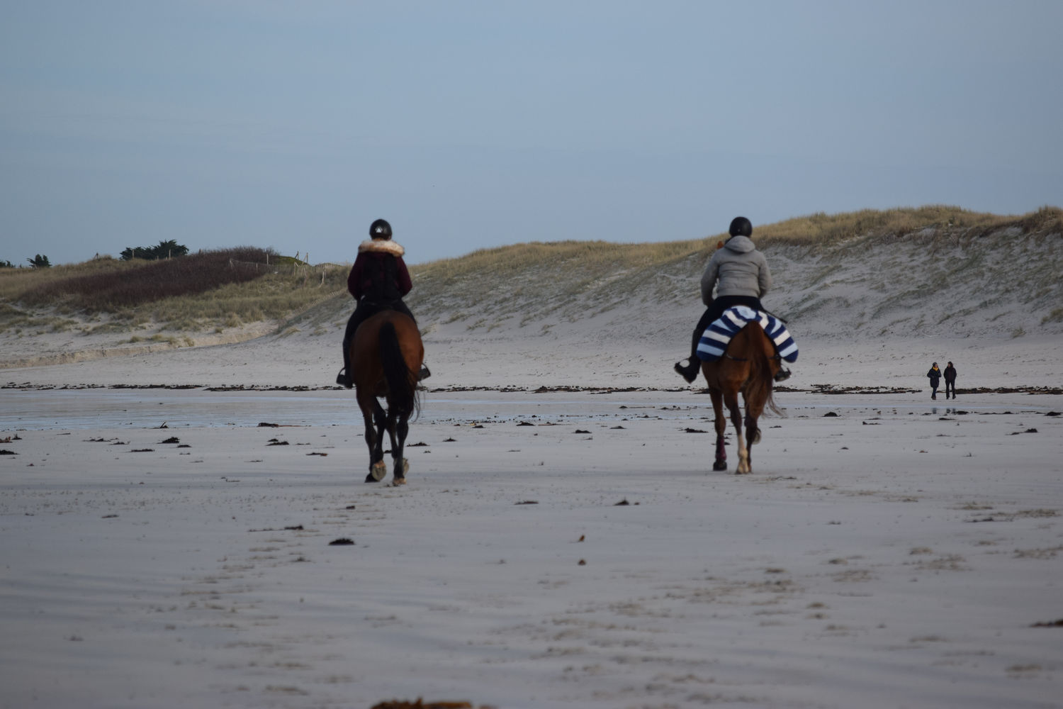 ballade-sur-la-plage-des-trois-moutons131