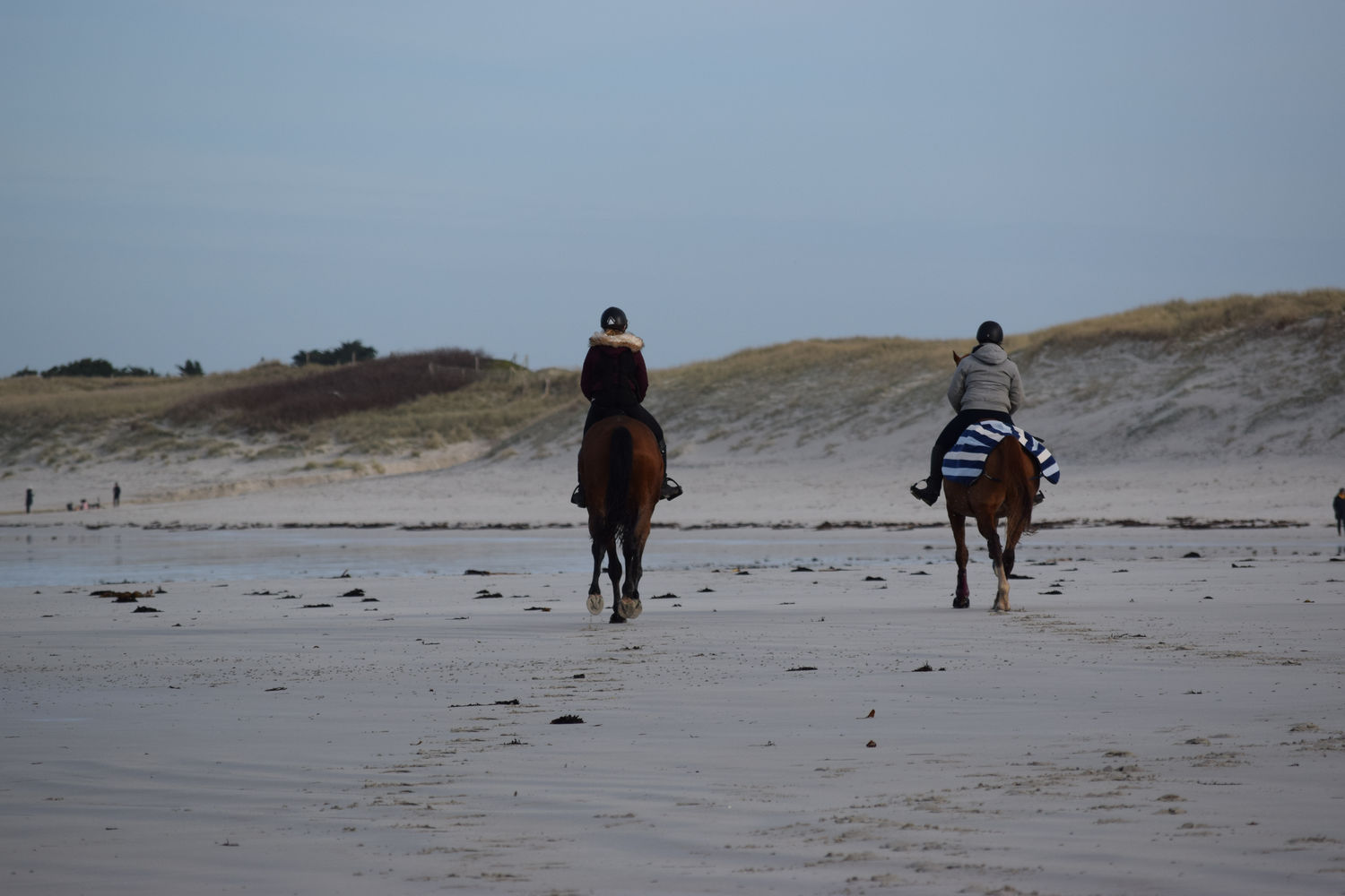 ballade-sur-la-plage-des-trois-moutons132