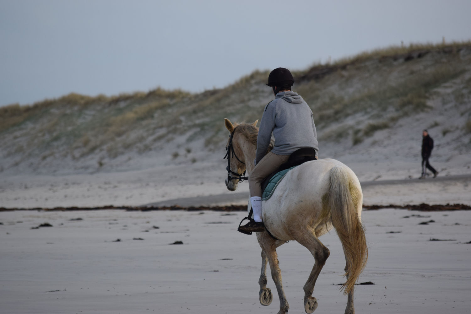 ballade-sur-la-plage-des-trois-moutons133