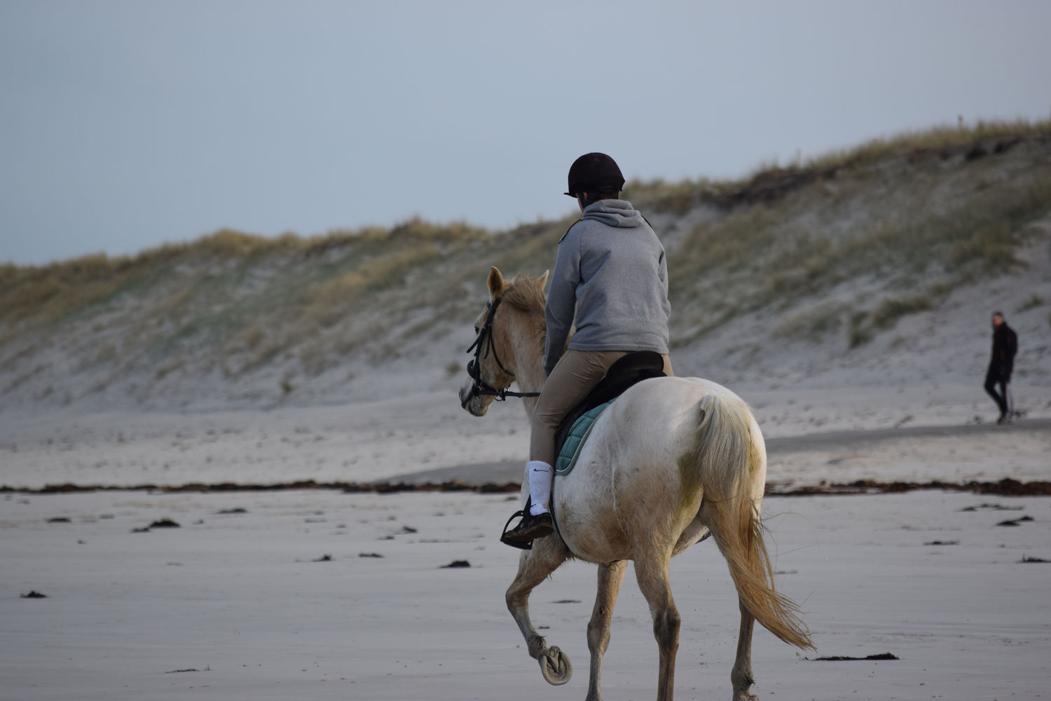 ballade-sur-la-plage-des-trois-moutons134