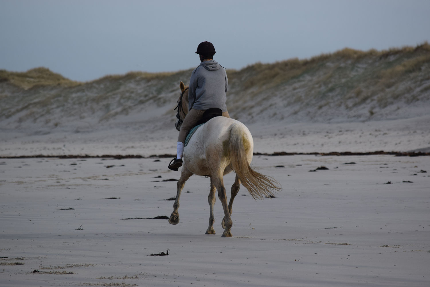 ballade-sur-la-plage-des-trois-moutons135