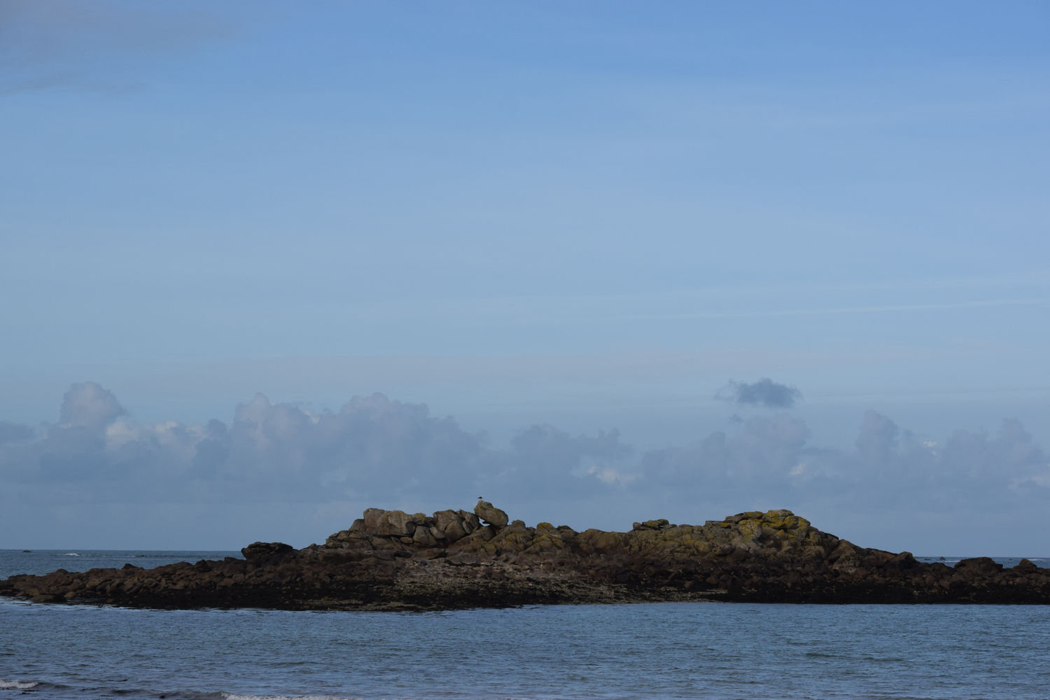 ballade-sur-la-plage-des-trois-moutons136