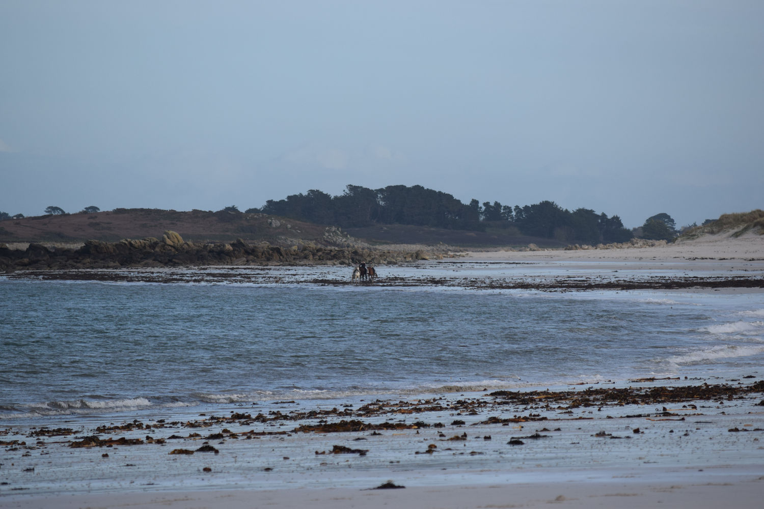 ballade-sur-la-plage-des-trois-moutons138