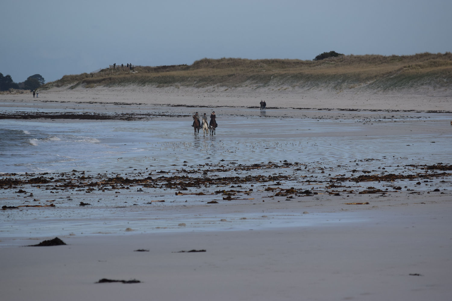 ballade-sur-la-plage-des-trois-moutons139