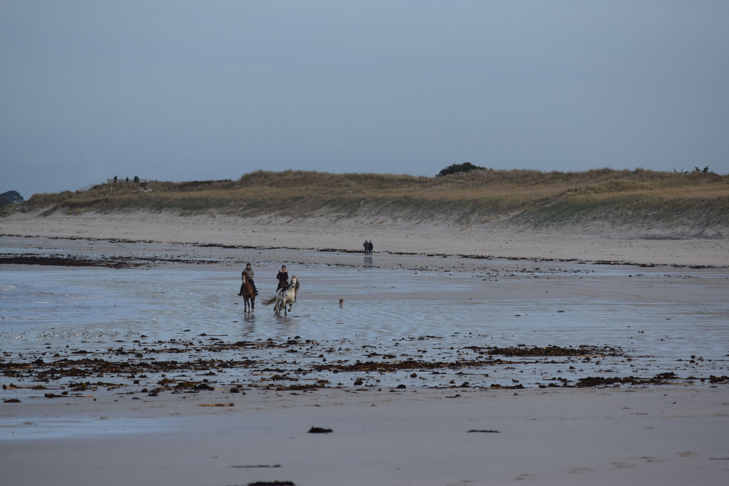 ballade-sur-la-plage-des-trois-moutons140