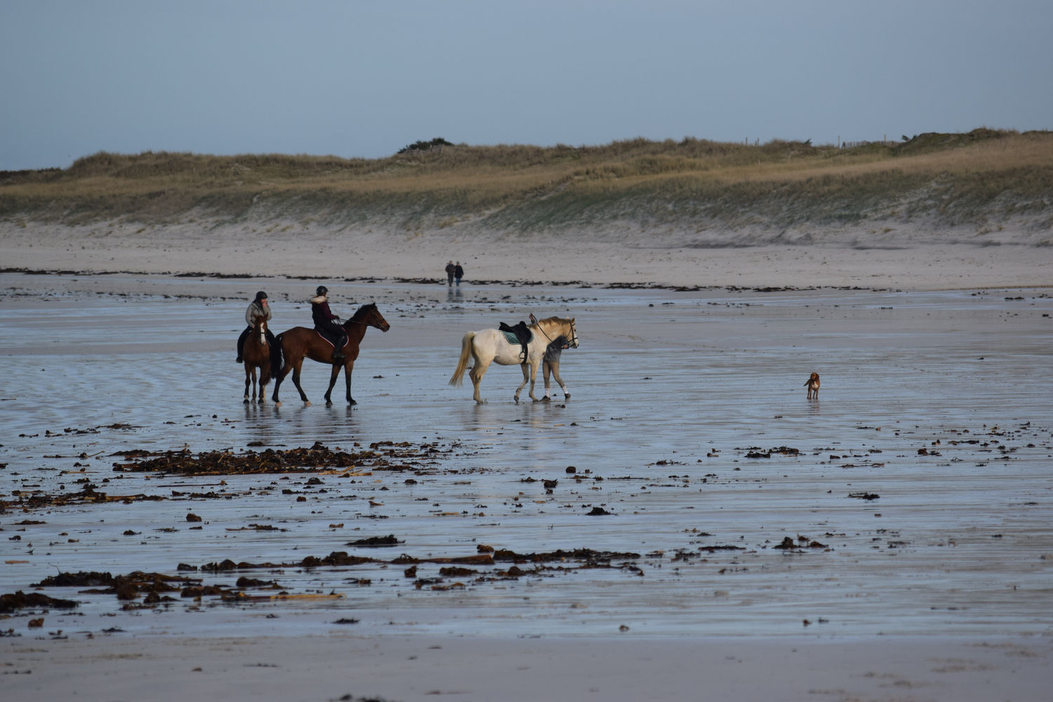 ballade-sur-la-plage-des-trois-moutons141