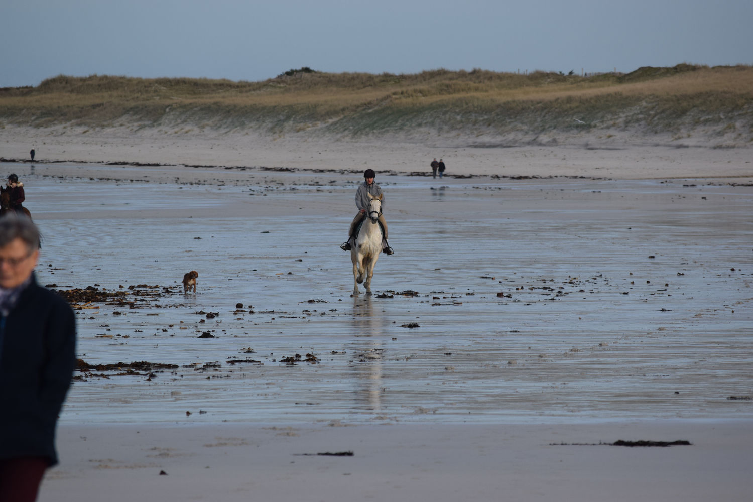 ballade-sur-la-plage-des-trois-moutons142