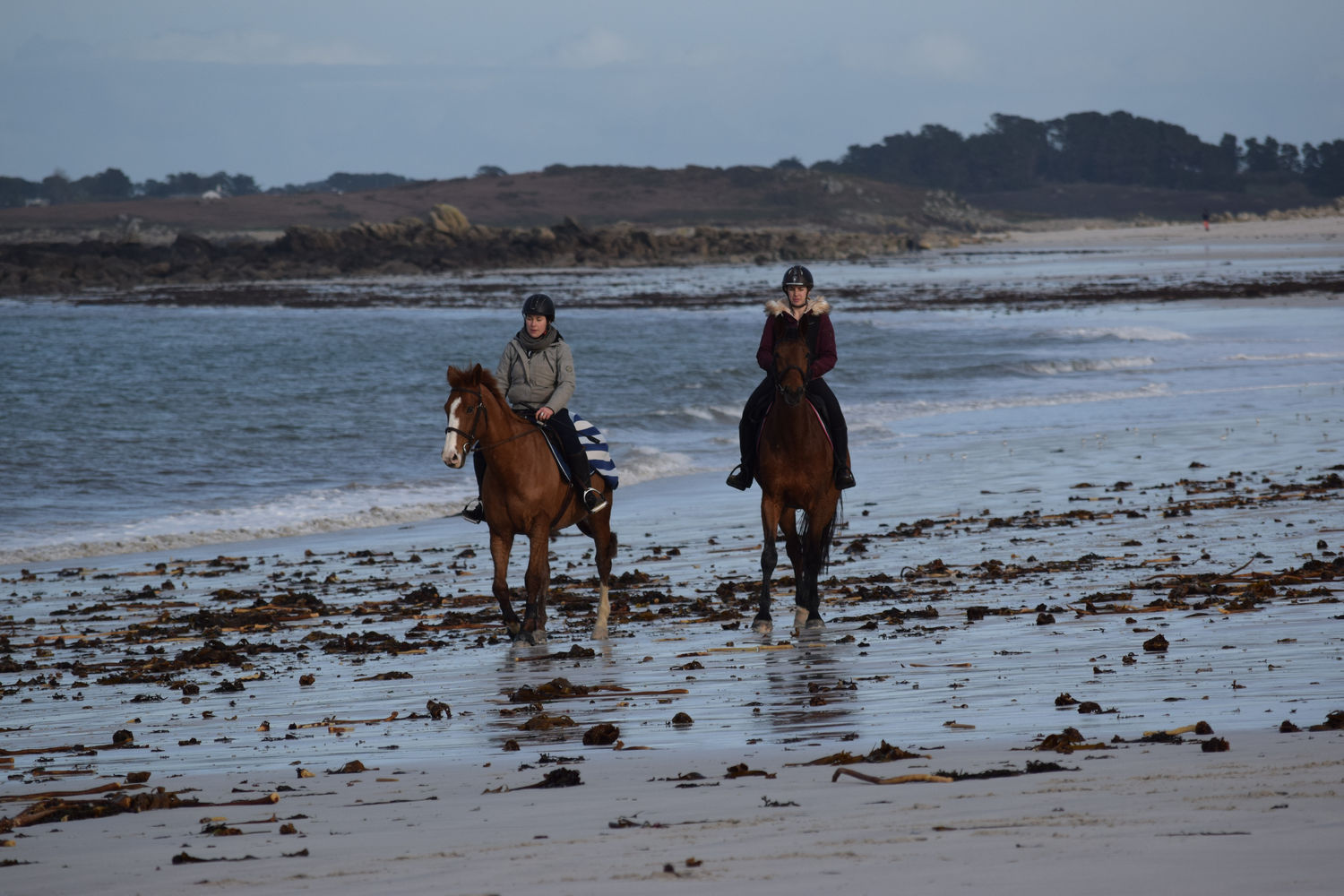 ballade-sur-la-plage-des-trois-moutons15