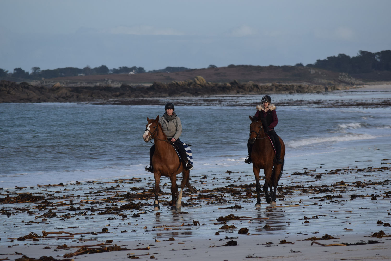 ballade-sur-la-plage-des-trois-moutons16