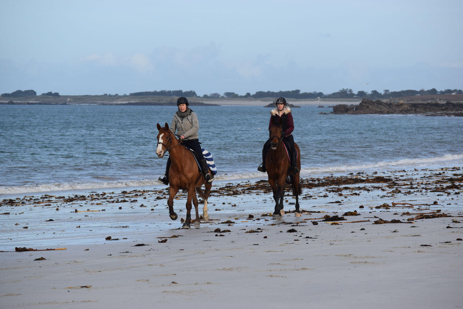 ballade-sur-la-plage-des-trois-moutons18