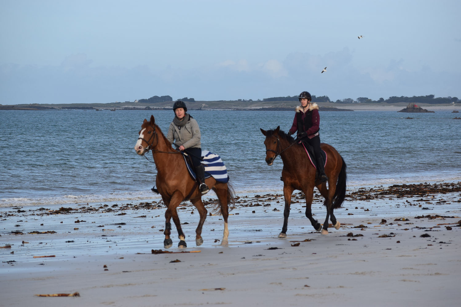 ballade-sur-la-plage-des-trois-moutons19