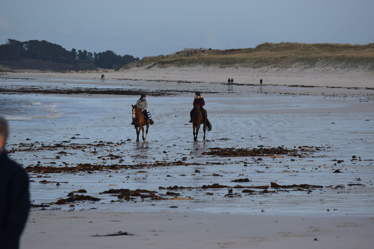 ballade-sur-la-plage-des-trois-moutons2