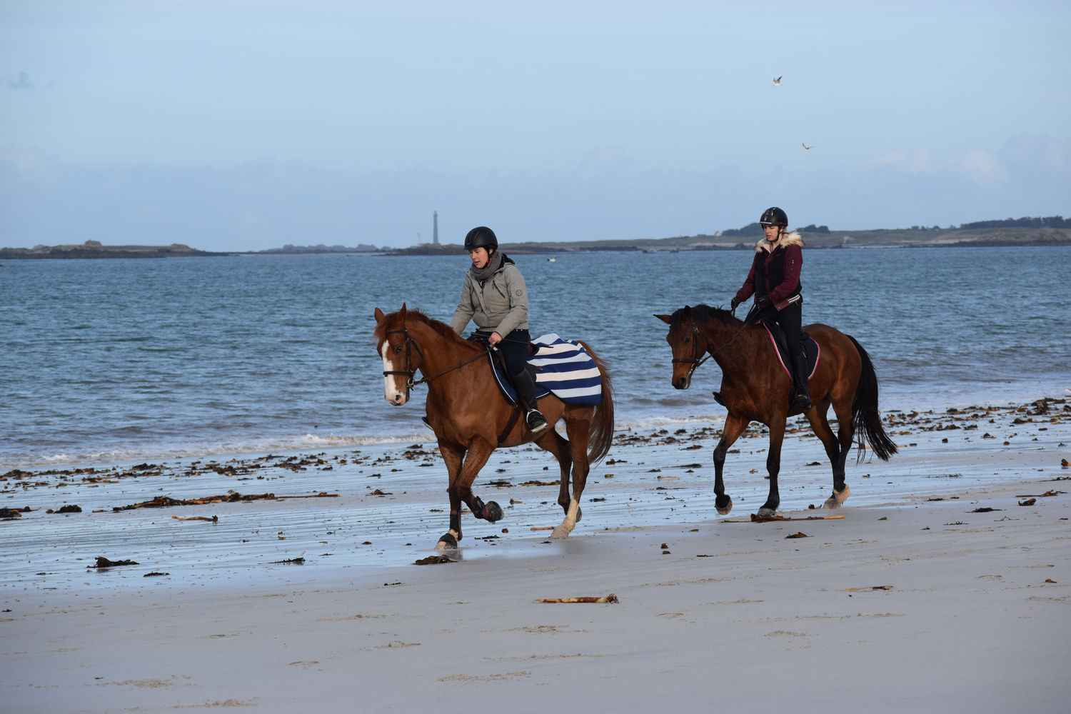 ballade-sur-la-plage-des-trois-moutons20