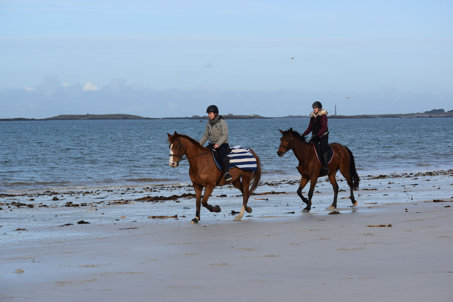 ballade-sur-la-plage-des-trois-moutons21