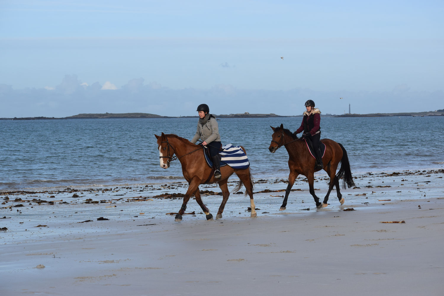 ballade-sur-la-plage-des-trois-moutons22