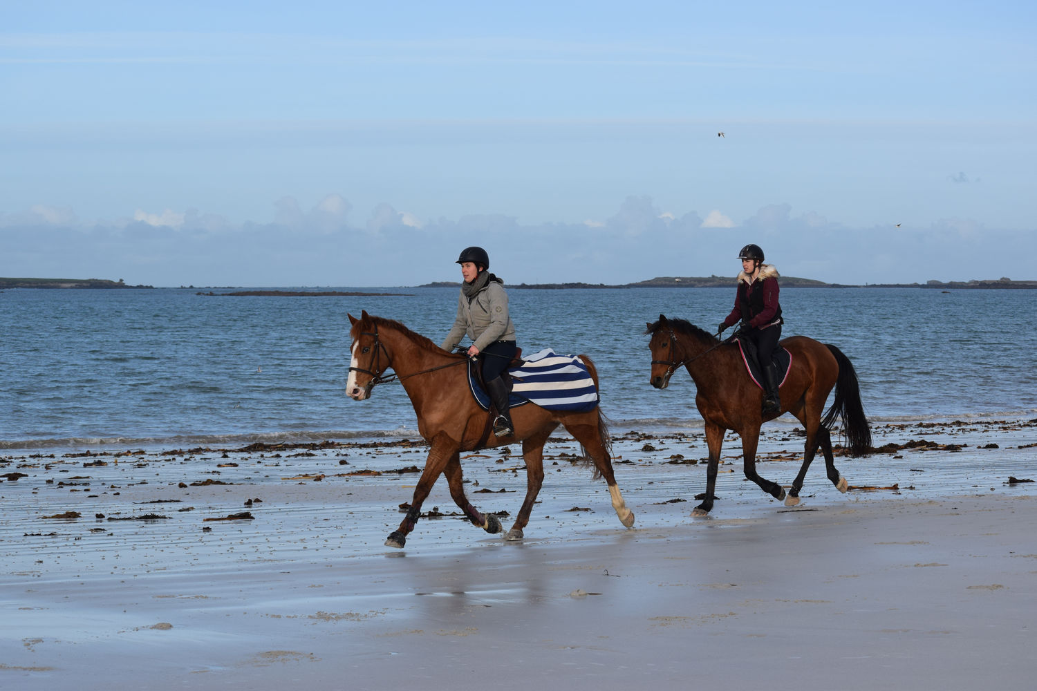 ballade-sur-la-plage-des-trois-moutons23