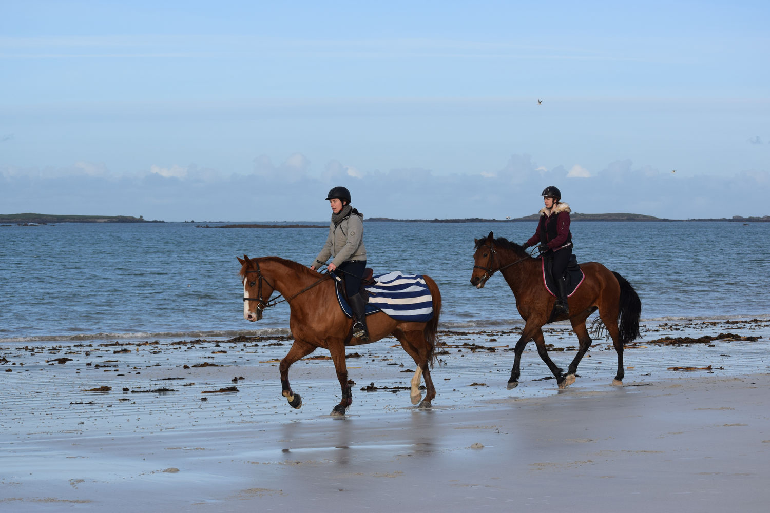 ballade-sur-la-plage-des-trois-moutons24