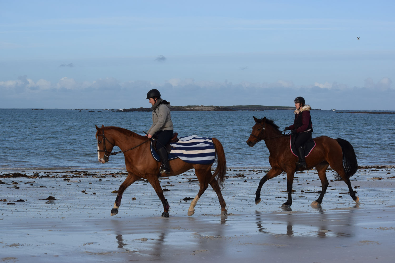 ballade-sur-la-plage-des-trois-moutons25