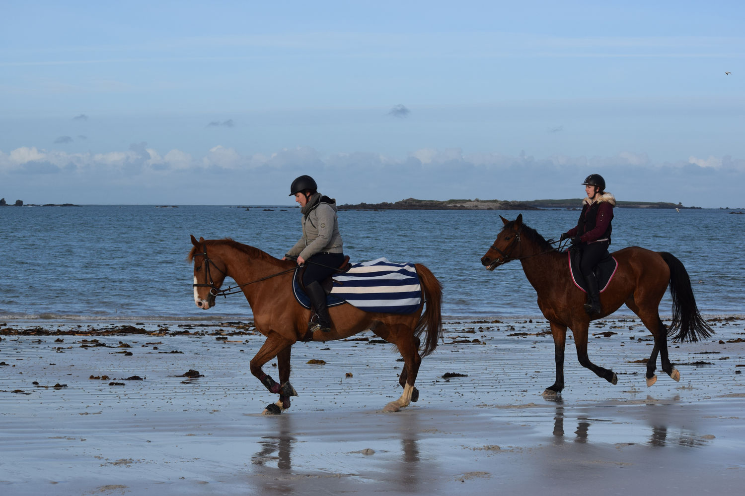 ballade-sur-la-plage-des-trois-moutons26