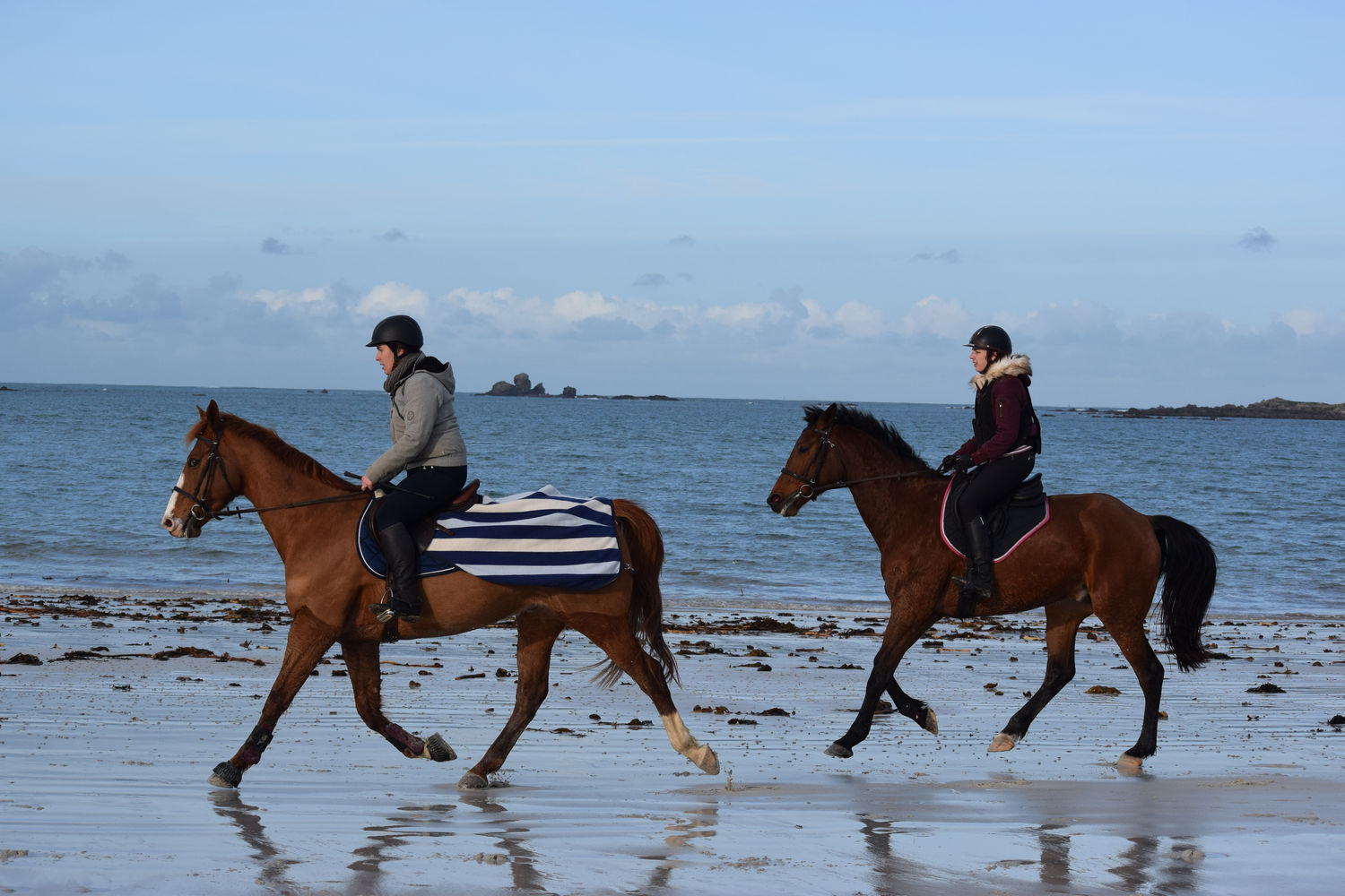 ballade-sur-la-plage-des-trois-moutons27