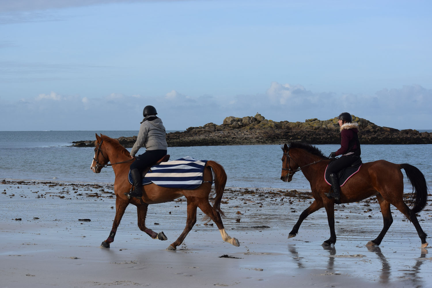 ballade-sur-la-plage-des-trois-moutons28