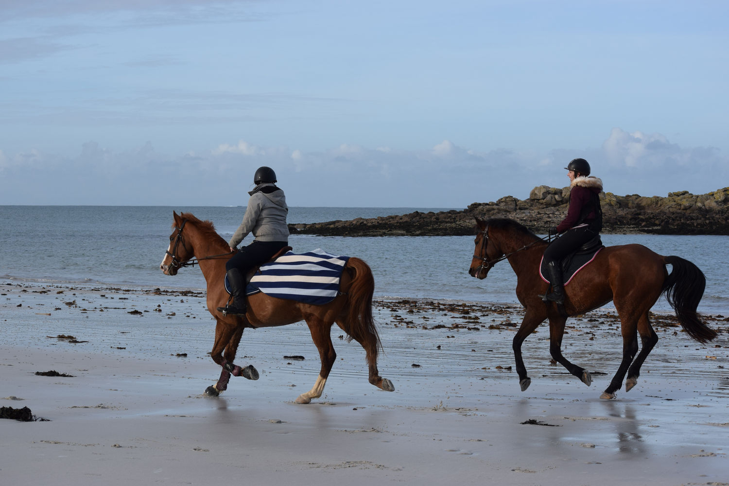 ballade-sur-la-plage-des-trois-moutons29