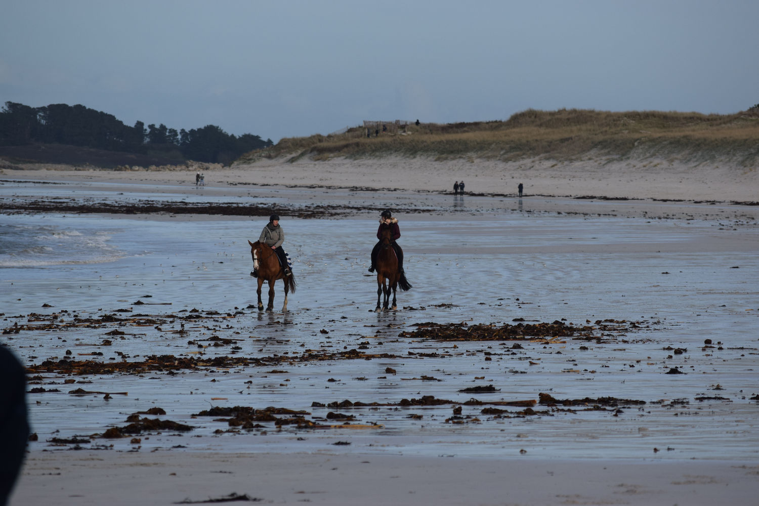 ballade-sur-la-plage-des-trois-moutons3