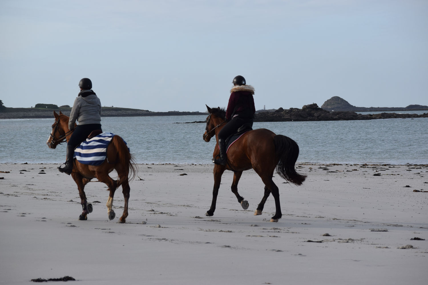 ballade-sur-la-plage-des-trois-moutons30