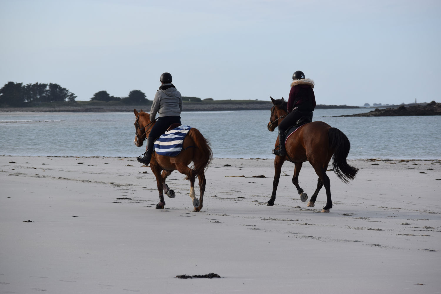 ballade-sur-la-plage-des-trois-moutons31