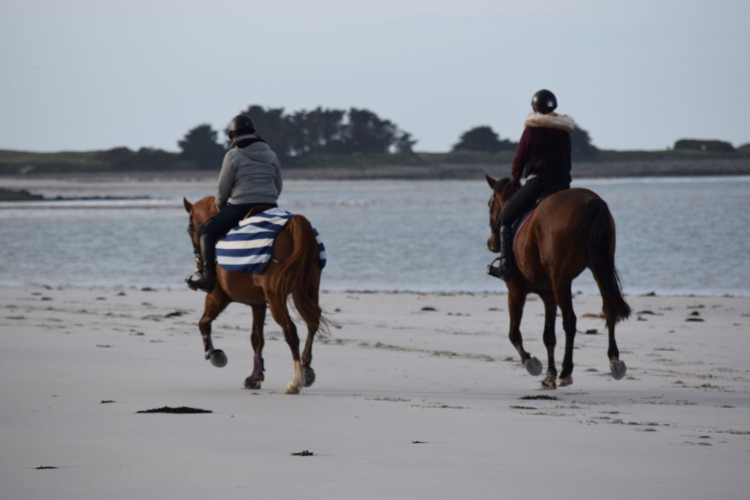 ballade-sur-la-plage-des-trois-moutons32