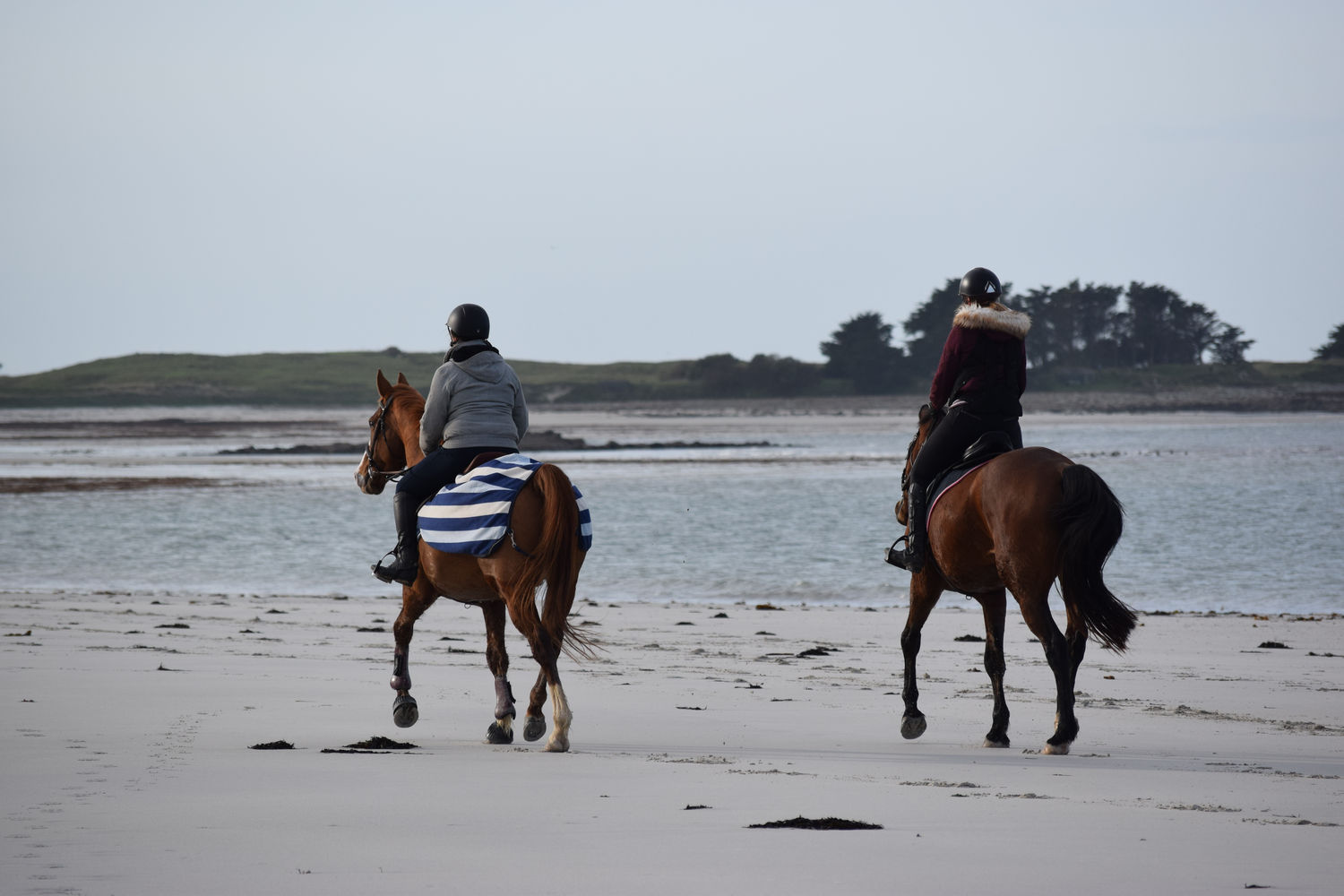 ballade-sur-la-plage-des-trois-moutons33