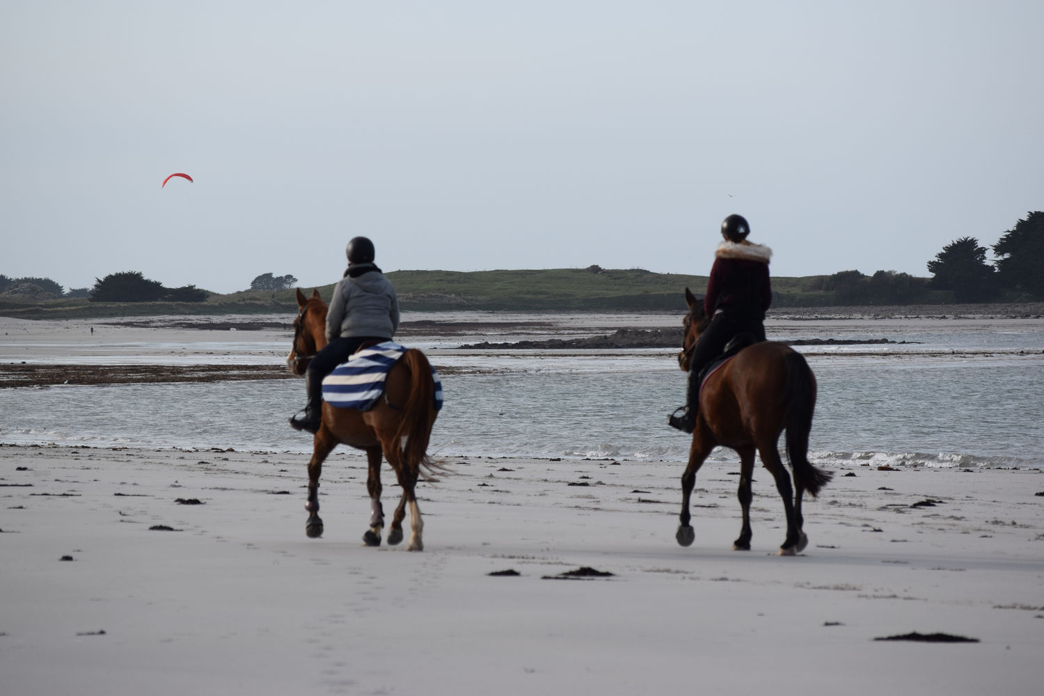 ballade-sur-la-plage-des-trois-moutons34