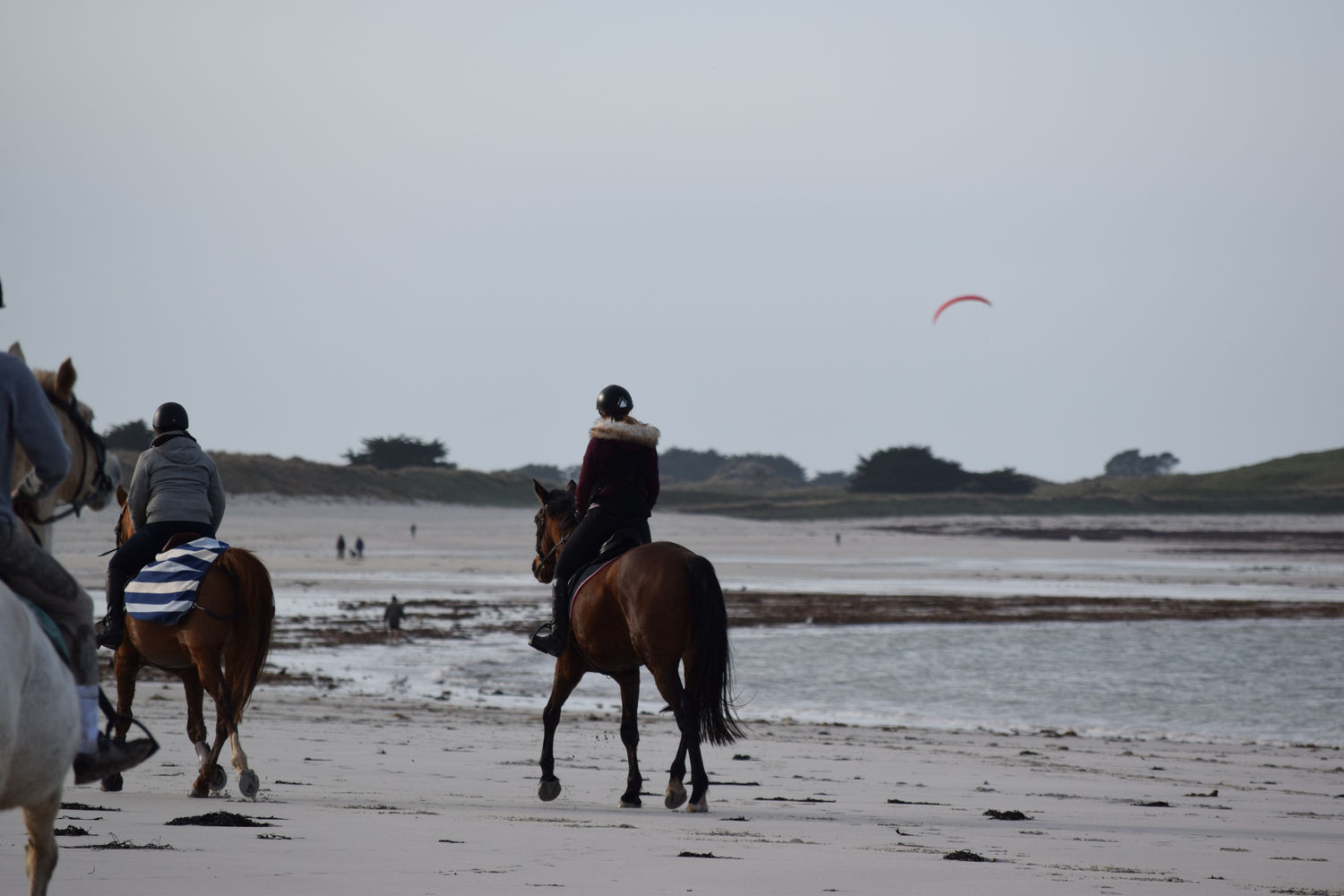 ballade-sur-la-plage-des-trois-moutons35