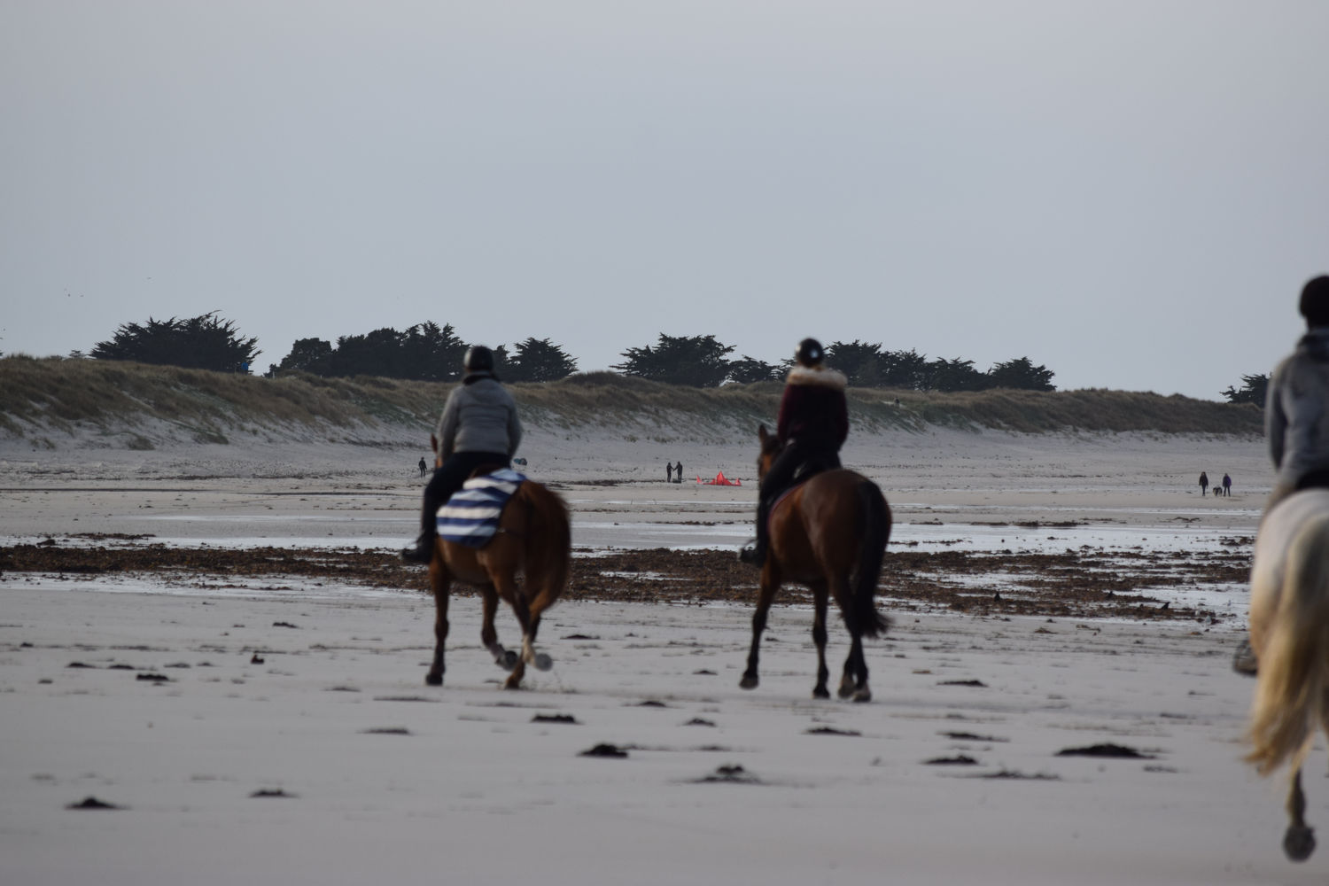 ballade-sur-la-plage-des-trois-moutons36