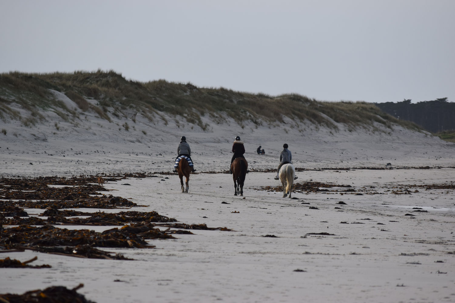 ballade-sur-la-plage-des-trois-moutons37