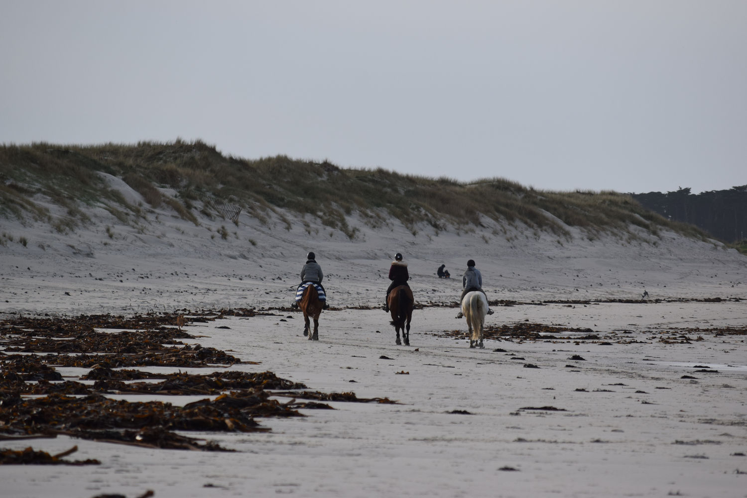 ballade-sur-la-plage-des-trois-moutons38