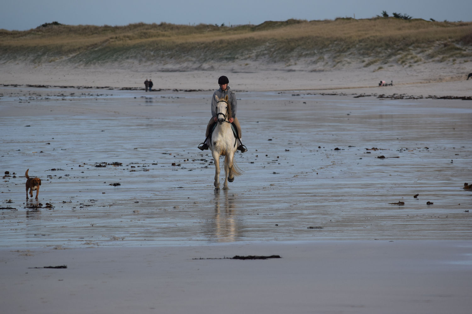 ballade-sur-la-plage-des-trois-moutons4